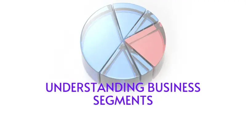 What Is a Business Segment? A Guide to Company Structure